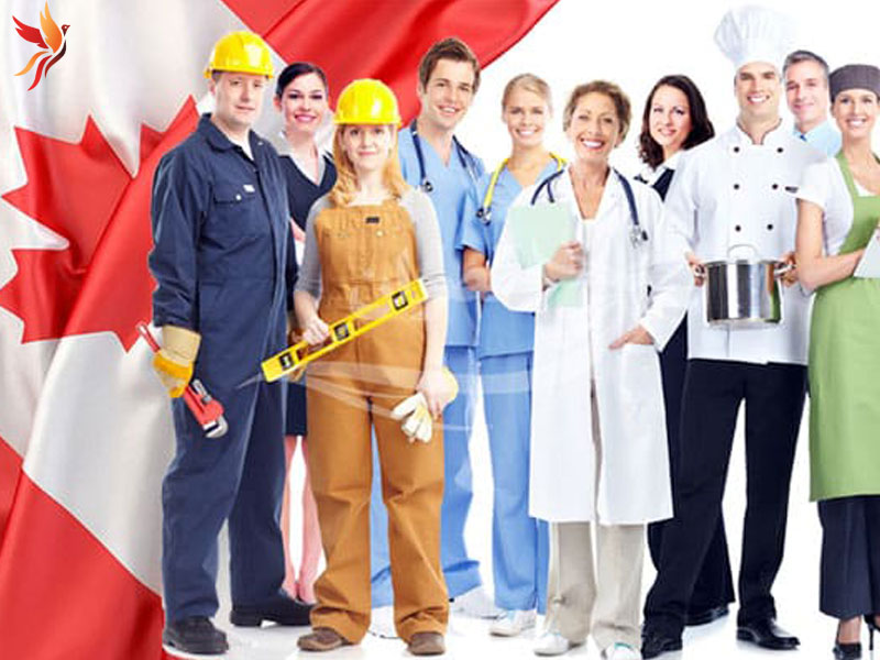 اسکیل ورکر کانادا 2024 .اسکیل-ورکر-کانادا