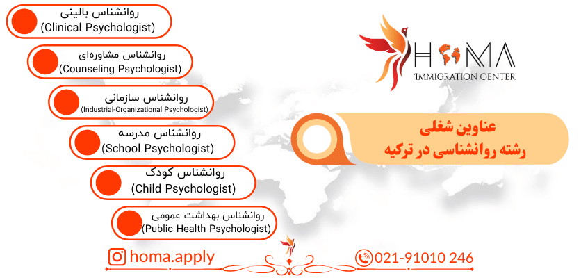 بازار کار و درآمد رشته روانشناسی در ترکیه