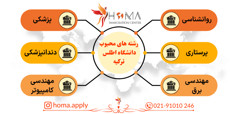 رشته‌های محبوب دانشگاه اطلس