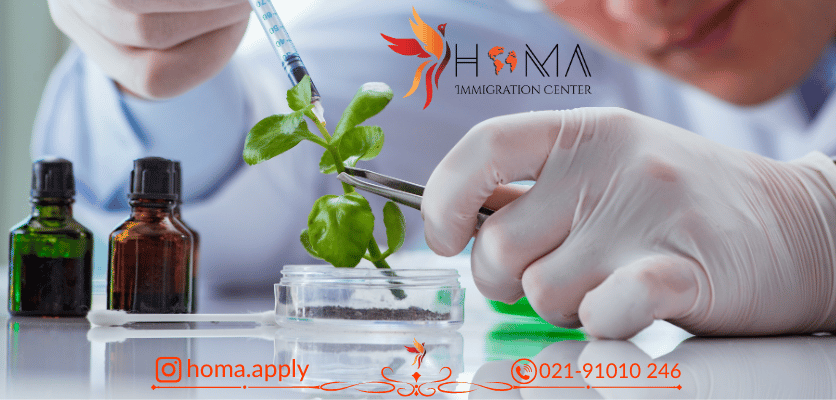 رشته بیوتکنولوژی ترکیه