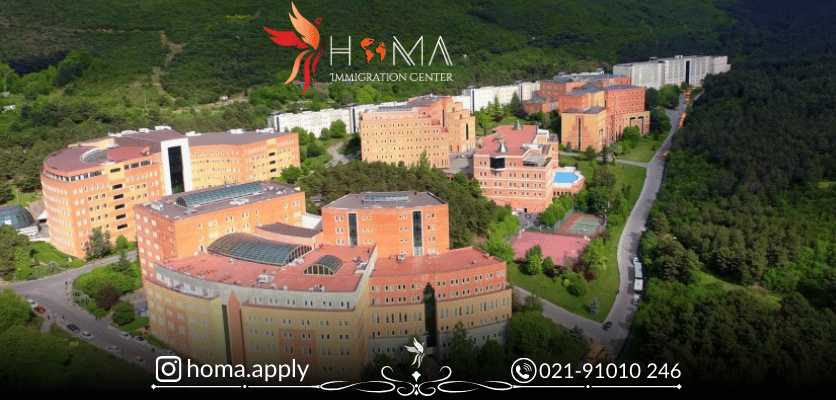 صفحه نخست دانشگاه یدی تپه