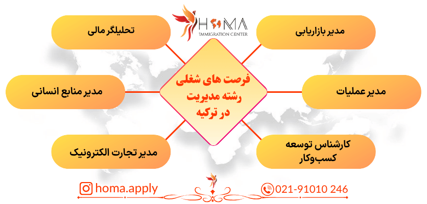 فرصت های شغلی رشته مدیریت در ترکیه