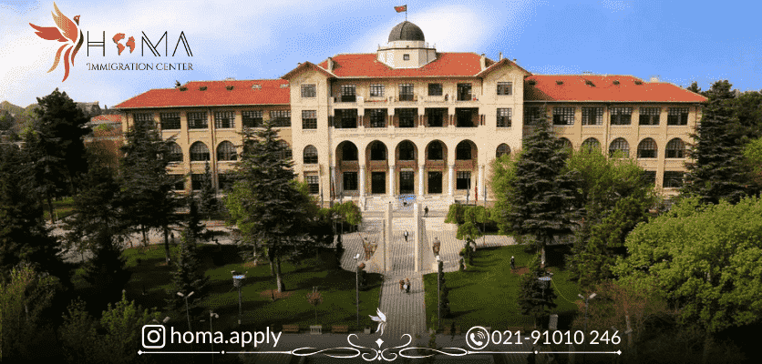 دانشگاه قاضی