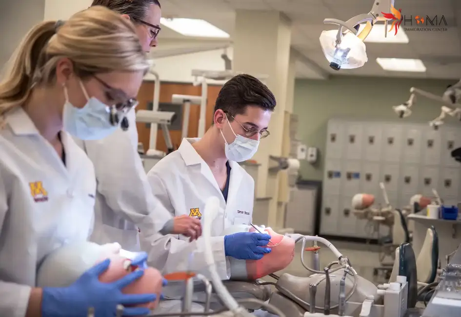 هزینه های تحصیل دندانپزشکی در ترکیه | موسسه مهاجرتی هما